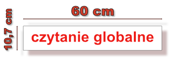 czytanie-globalne-karty